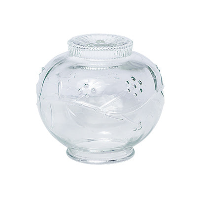 GLOBO TRANSPARENTE 6 53302