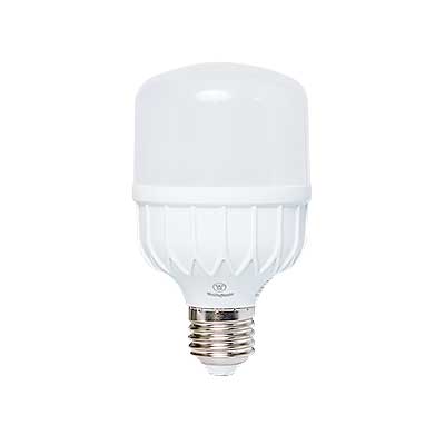 BOMBILLO LED 20W E27 6500K