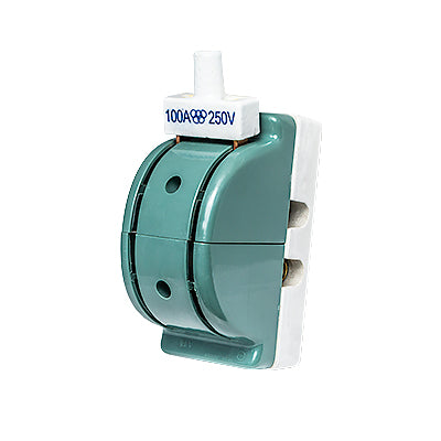 INTERRUPTOR DOBLE TIRO 2P-100A