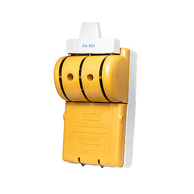 INTERRUPTOR DOBLE TIRO 3P-100A