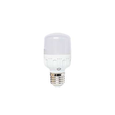 BOMBILLO LED BULD 5W 6500K