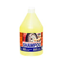 SHAMPOO CARRO 1GL